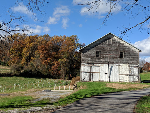 A rustic barn surrounded by colorful autumn foliage.
