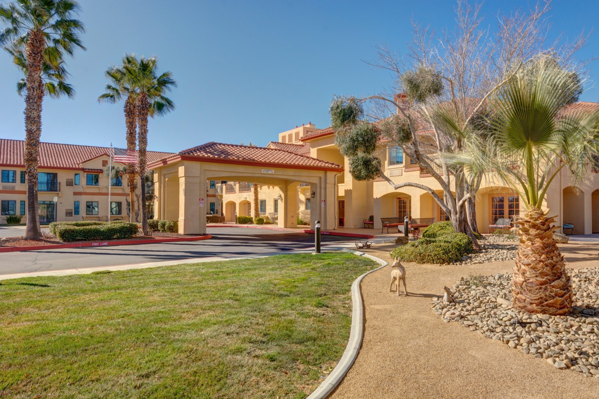 A sunny day at a residential building entrance surrounded by palm trees and landscaped grounds.