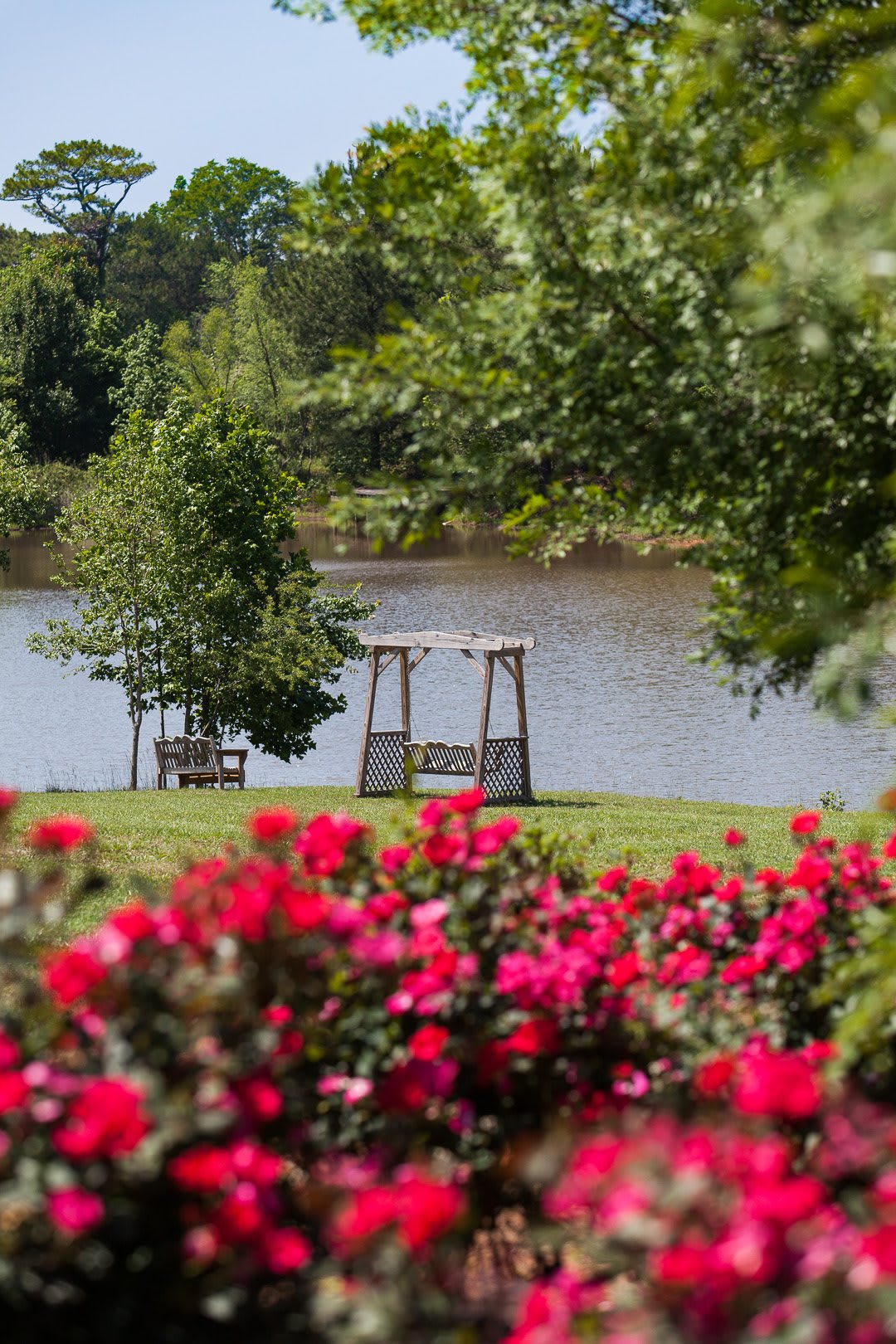 A picturesque park scene featuring vibrant red flowers, swings by the river, and lush greenery.