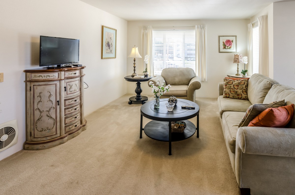 A cozy living room with a sofa, armchair, and a television.