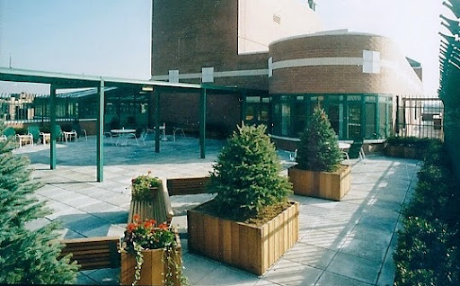 A sunny courtyard featuring wooden planters with greenery, surrounded by modern architecture.