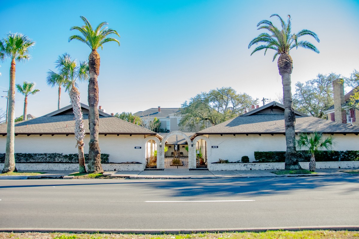 A sunny street view showcasing two residential buildings flanked by tall palm trees.