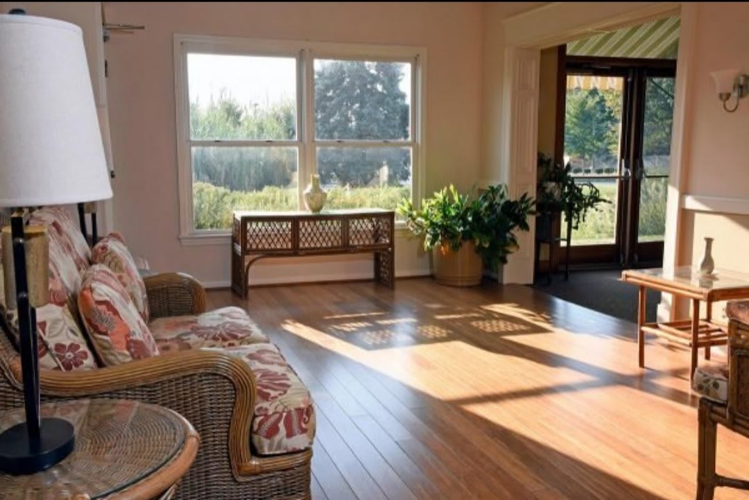 A bright and airy living room with large windows, hardwood floors, and comfortable seating.