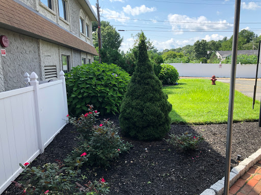 A well-maintained garden featuring a variety of plants and shrubs.
