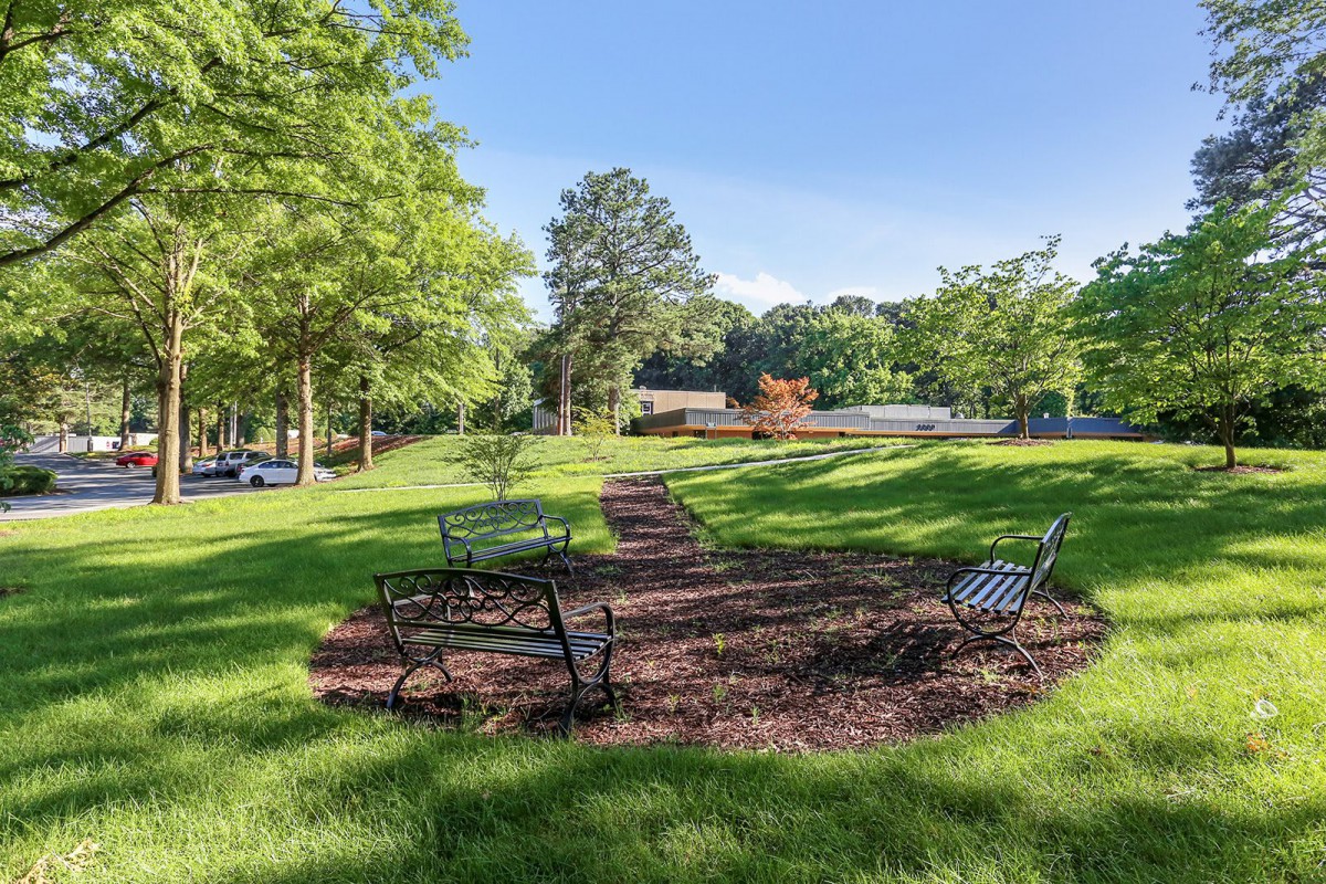 A scenic view of a park with benches arranged around a pathway, surrounded by lush greenery and trees on a sunny day.