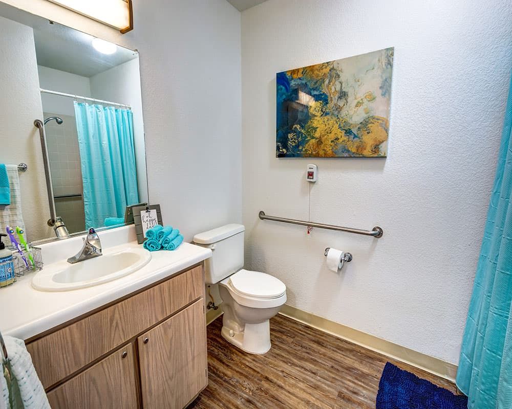 A bathroom with a wooden floor, featuring a sink, toilet, and shower with a blue curtain. A decorative piece of wall art hangs above the toilet.