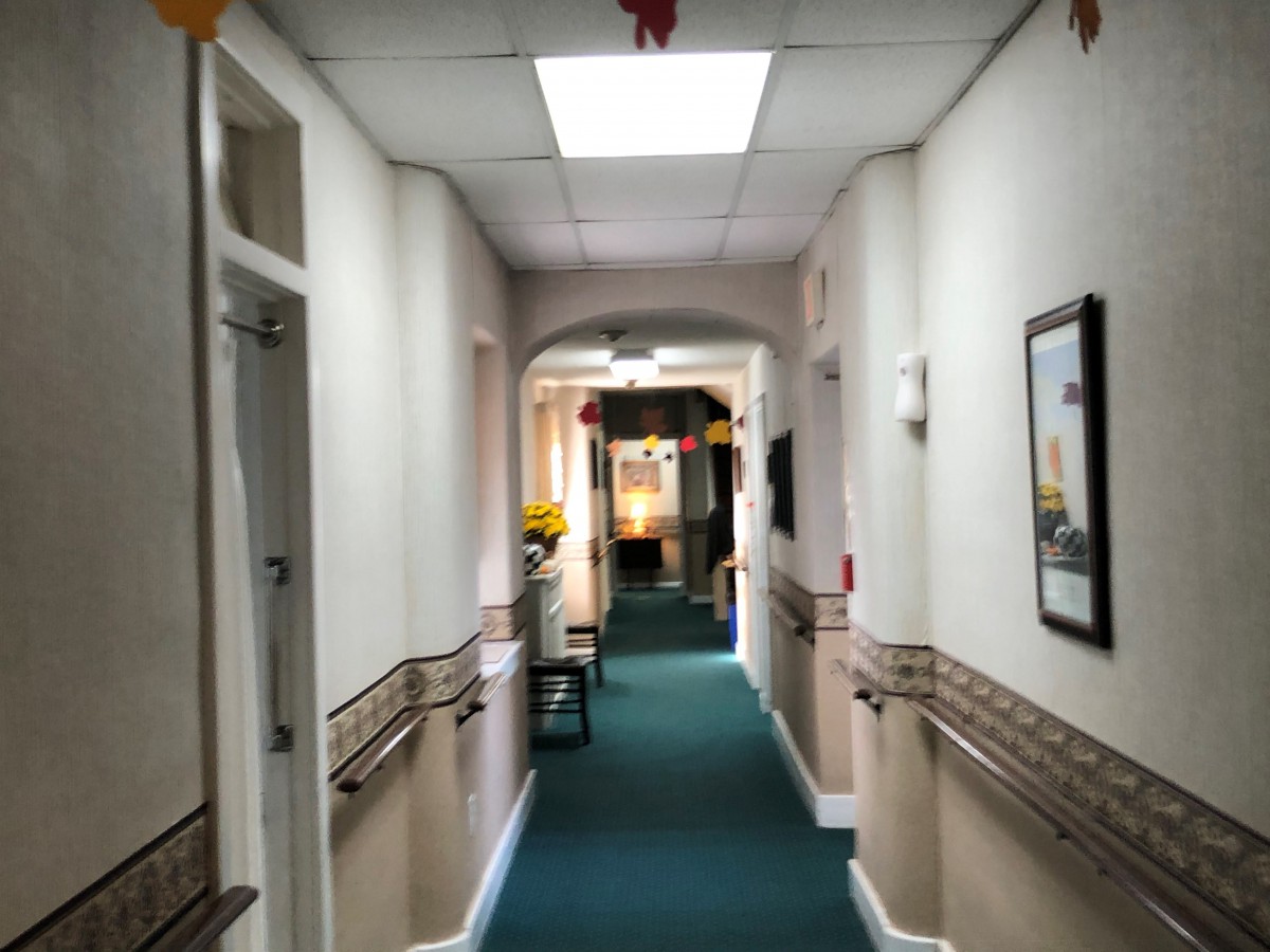 A well-lit hallway with carpeted flooring and decorative elements.