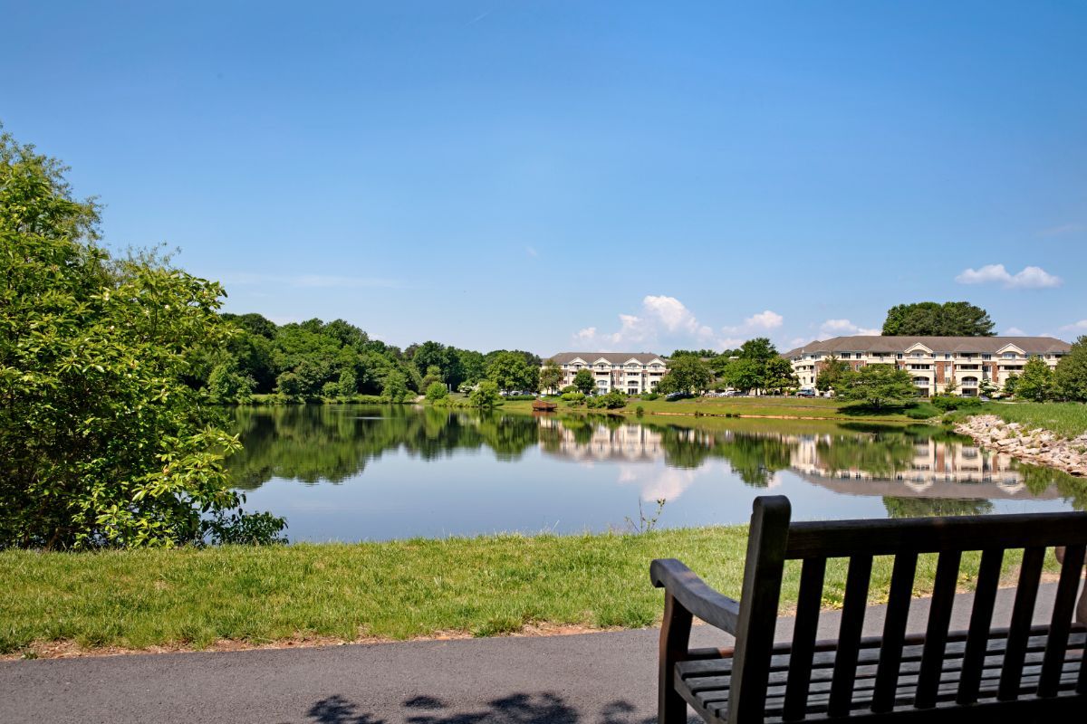 A peaceful park view with a lake, surrounded by trees and buildings, accompanied by a bench under a clear blue sky.
