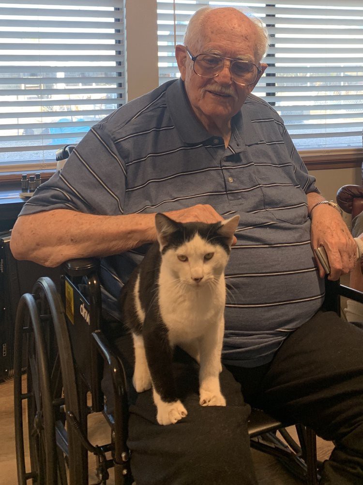 An elderly man sitting in a wheelchair with a black and white cat on his lap.