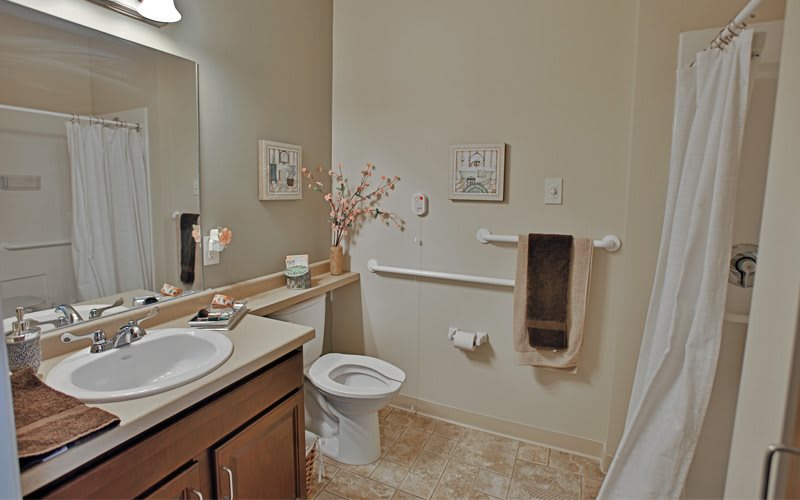 A clean and well-decorated bathroom with a sink, toilet, and wall decor.