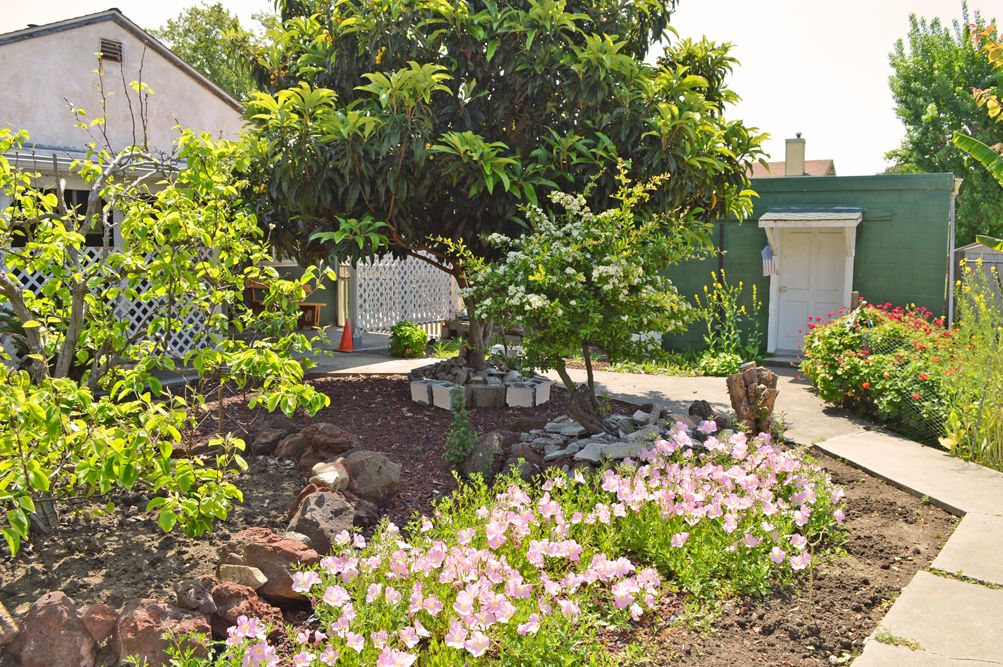 A serene garden with lush greenery, colorful flowers, and a large tree providing shade.