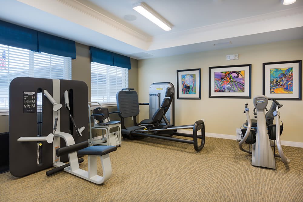 A modern gym equipped with various fitness machines and bright natural lighting.