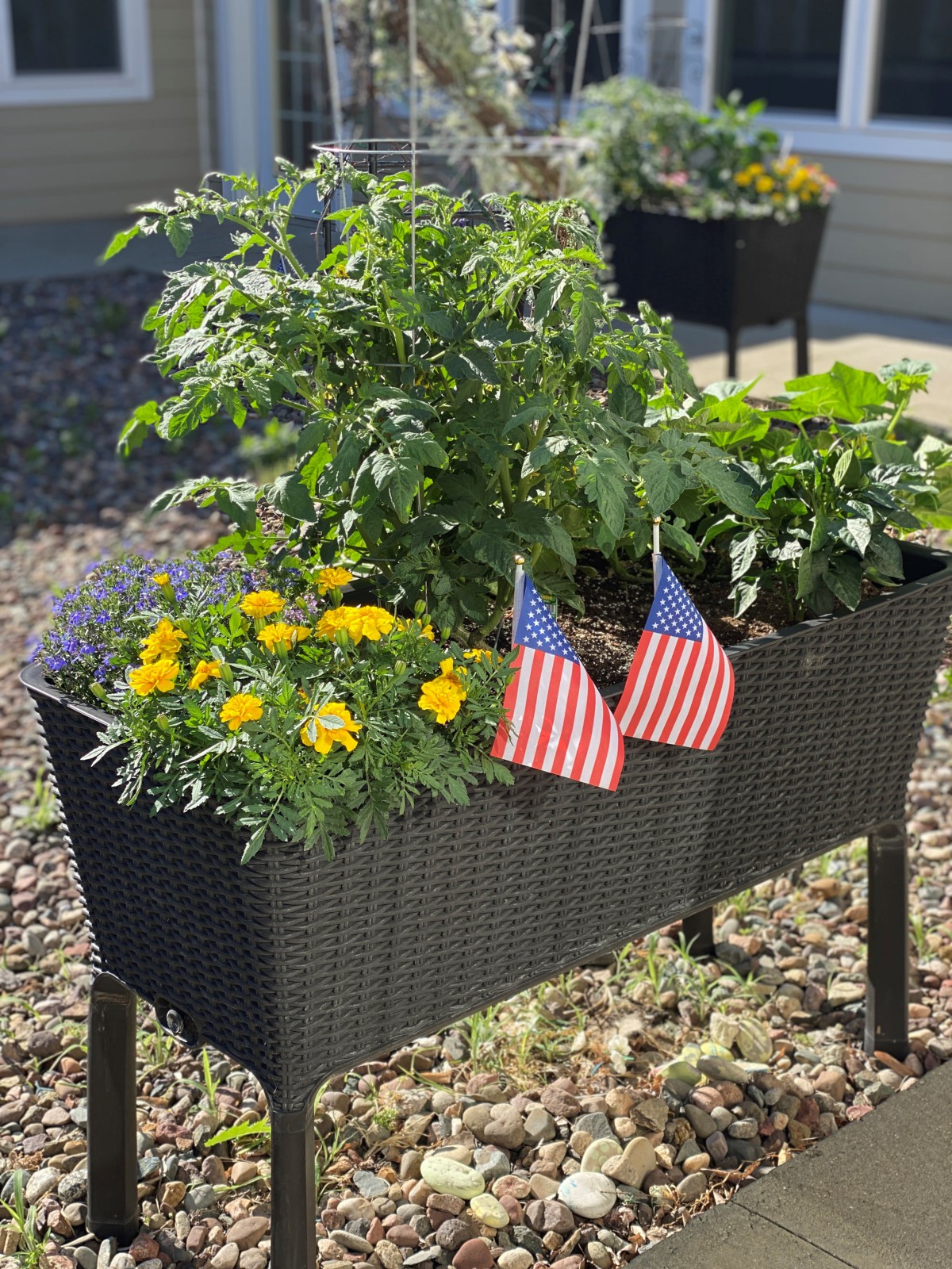 An outdoor planter featuring vibrant flowers and vegetables adorned with small American flags.
