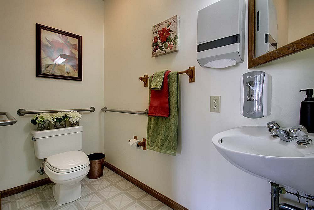 A clean and accessible bathroom with a toilet, sink, handrails, and decorative touches.
