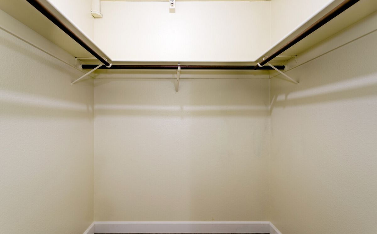 An empty walk-in closet with white walls and hanging rods.