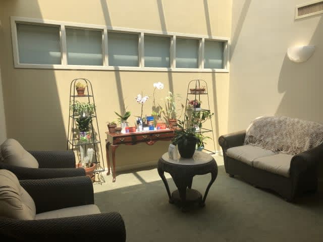 A sunlit living room with comfortable seating and a variety of indoor plants.