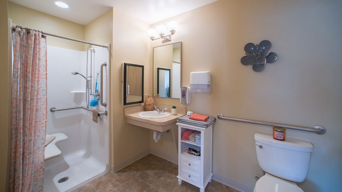 A well-organized, wheelchair-accessible bathroom with a shower, sink, mirror, and storage cabinet.