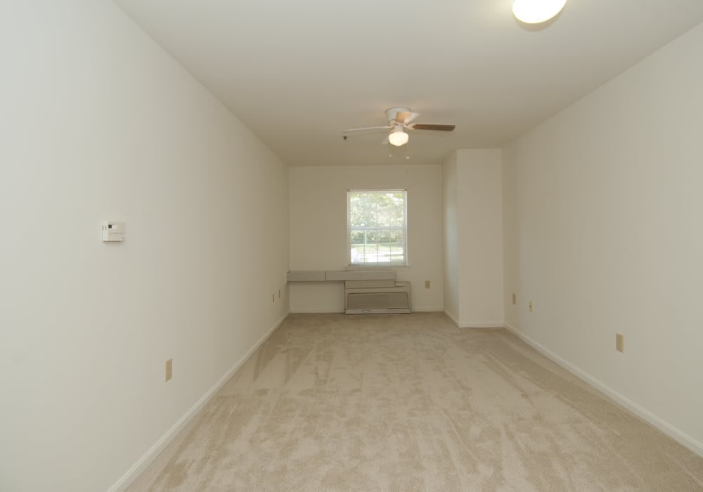 An empty room with a window, ceiling fan, and carpeted floor.