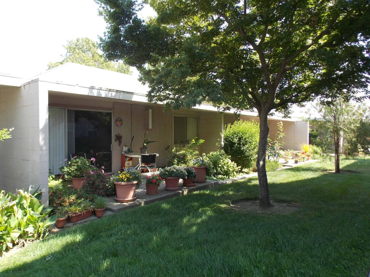 A cozy house with a well-maintained yard, featuring lush greenery and potted plants.