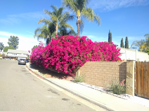 Aegean Hills Senior Living