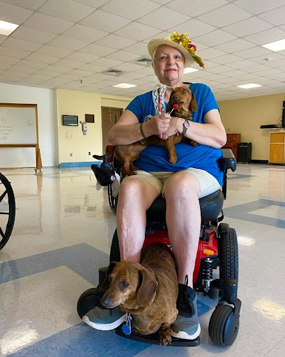 A joyful woman in a wheelchair enjoys the company of her pet dogs in a community space.