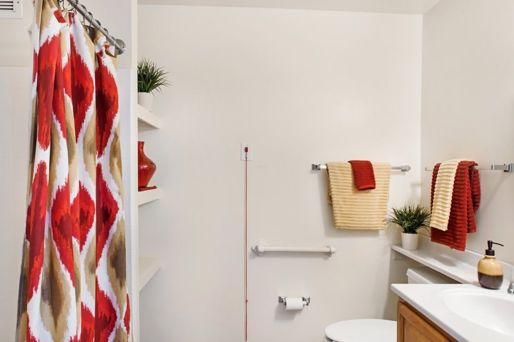 A neatly organized bathroom featuring a colorful shower curtain and decorative plants.