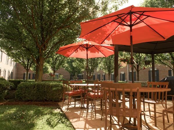 A sunny outdoor patio area with red umbrellas, wooden tables and chairs surrounded by greenery.