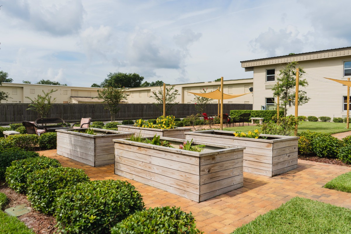 A beautifully maintained garden with raised wooden beds filled with plants, set against a backdrop of urban buildings on a sunny day.