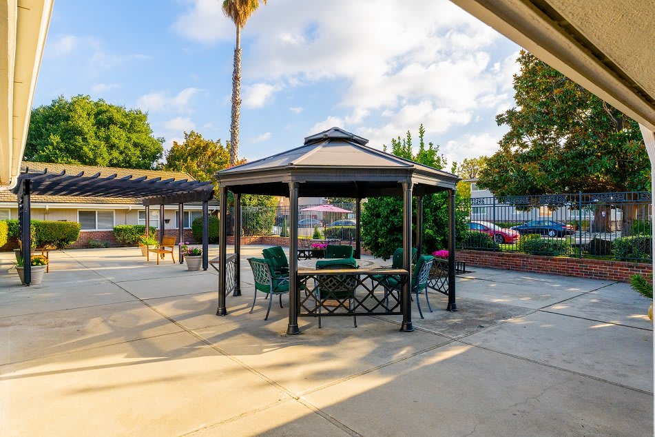 A cozy outdoor gazebo with seating, set in a sunny patio area with surrounding greenery and a palm tree.