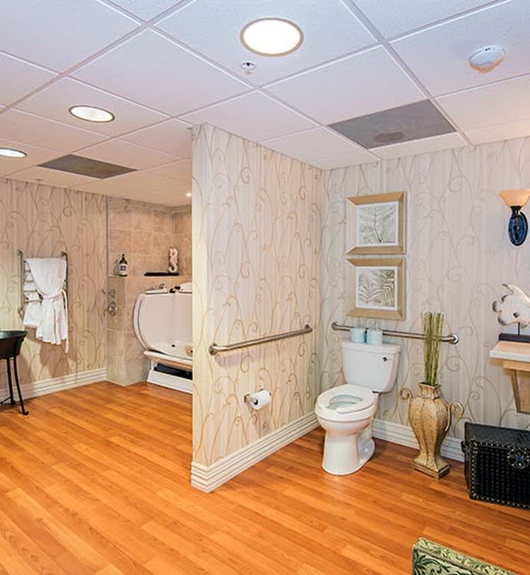An accessible bathroom with a toilet, sink, and handrails, featuring a wooden floor and decorative elements.