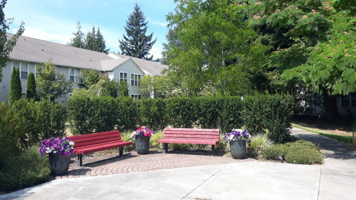 A sunny day in a park with red benches, surrounded by trees and flowers.