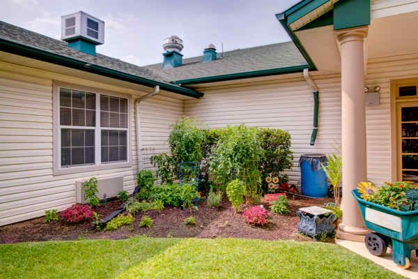A lush garden with various plants in the backyard of a house, featuring well-maintained landscaping.