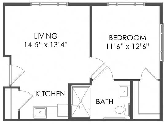 Floor plan of a one-bedroom apartment with living room, kitchen, and bathroom.