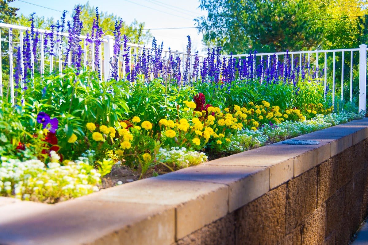 Clifden Court Assisted Living and Memory Care
