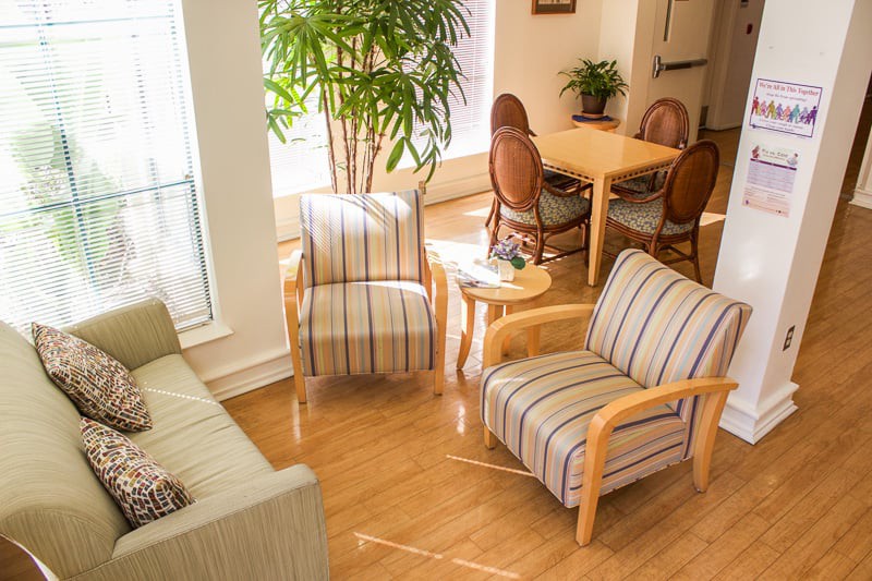 A cozy living space with comfortable armchairs, a sofa, a dining table set, and indoor plants.