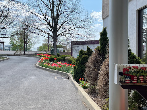 A scenic view of a landscaped driveway lined with blooming flowers and trees under a clear sky.