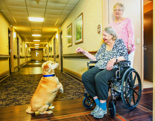 An elderly woman in a wheelchair interacts with a friendly dog while another woman stands nearby in a care facility.