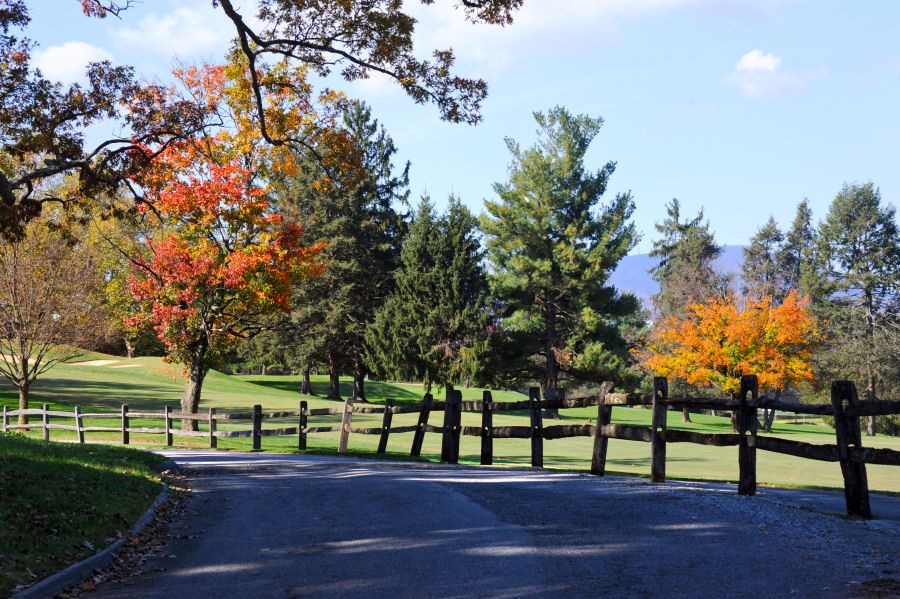 A scenic road lined with vibrant autumn trees and a wooden fence.