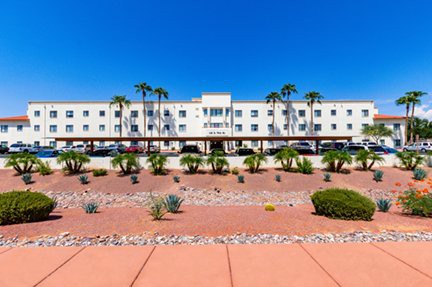 A modern building surrounded by a desert landscape with palm trees under a clear blue sky.