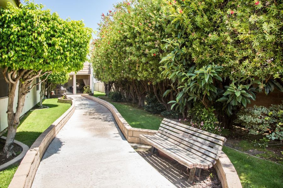 A peaceful garden scene with a bench along a tree-lined pathway.