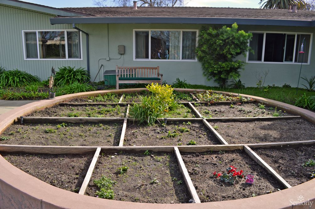 A residential garden with segmented plots and young plants.