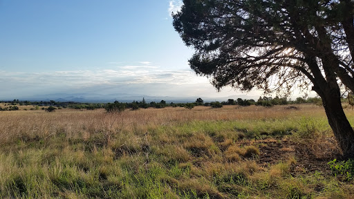 Golden Oaks Canyon