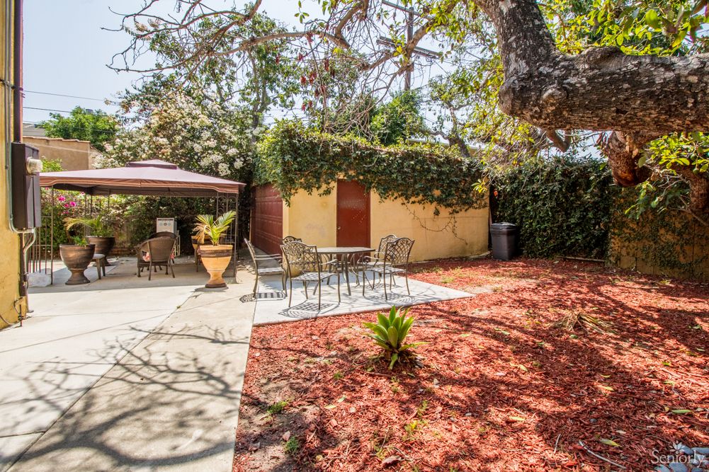 A peaceful backyard with a patio set under a canopy, surrounded by lush trees and a small garden shed.