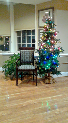 A cozy holiday setting featuring a decorative Christmas tree next to an elegant chair and greenery.