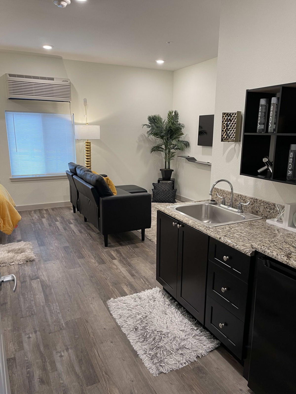 A modern living space featuring a kitchenette with dark cabinets, a comfortable sofa, and decorative elements including an indoor plant and wall art.