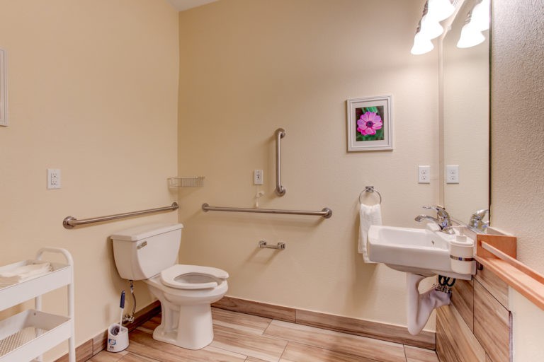 A handicap-accessible bathroom with grab bars, a toilet, sink, mirror, and wall art.