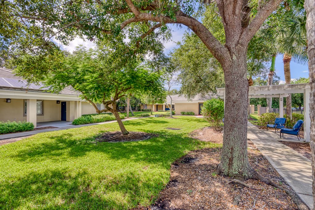 A serene outdoor space featuring lush greenery, trees, and buildings in the background.