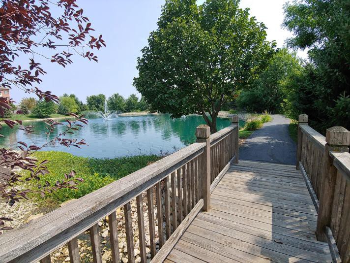 Cedar Lake Village