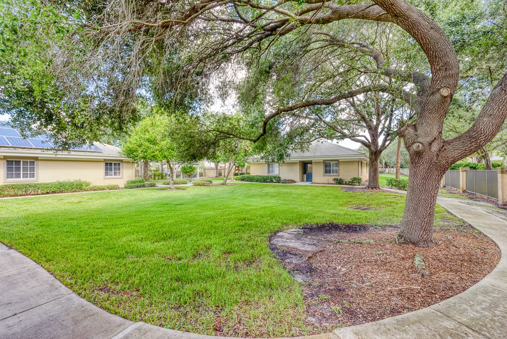 A serene yard surrounded by trees and houses.