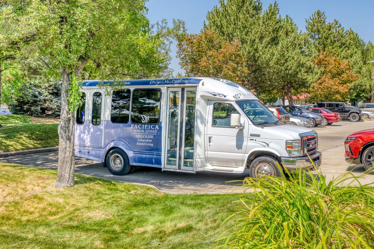 A white shuttle bus parked in a verdant outdoor setting near trees and a parking lot.